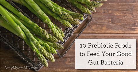 10 Prebiotic Foods To Feed Your Good Gut Bacteria Amy Myers MD