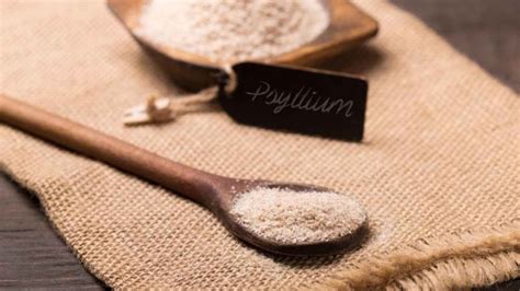 Psyllium Blond Entre Origine Et Bienfaits De Cette Plante La Loge Beaut