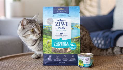 Sensitive Stomach Cat Food | What You Need to Know | ZIWI US