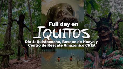 Full day en IQUITOS ZOOLÓGICO QUISTOCOCHA y CENTRO DE RESCATE