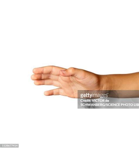 Kid Hand Reaching Out Photos And Premium High Res Pictures Getty Images