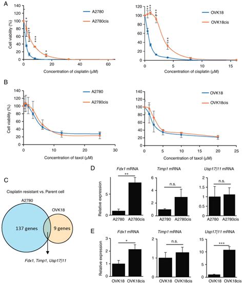 Expression Of Ferredoxin1 In Cisplatinresistant Ovarian Cancer Cells