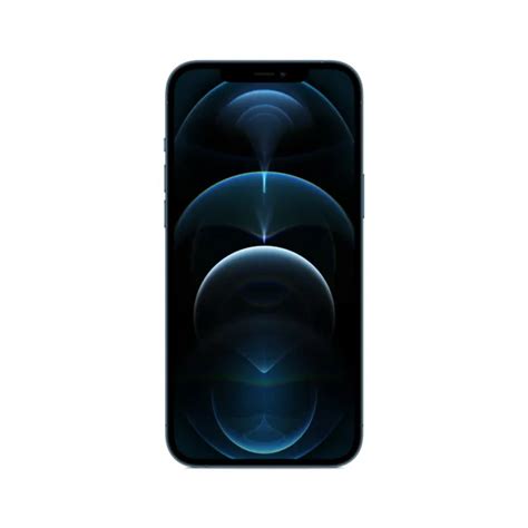 Apple Iphone Pro Max Go Bleu Reconditionn Parfait Tat Eur