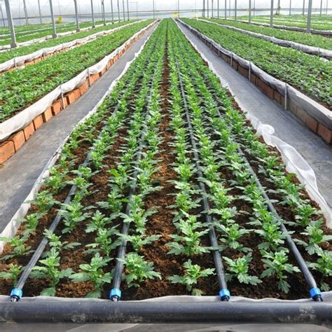 Plastic Pipe Drip Irrigation System At Inr In Thane Visual