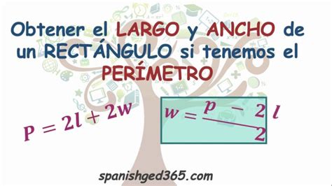 C Mo Calcular El Largo De Un Rect Ngulo Gu A Paso A Paso Todo Sobre