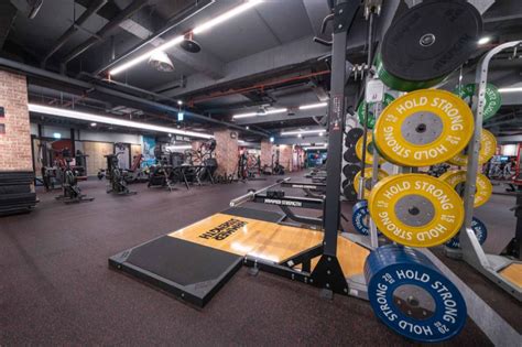 morefit