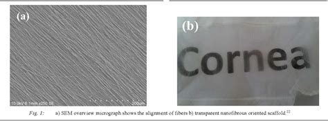 Figure 1 From Characterization Of Structural Mechanical And Nano