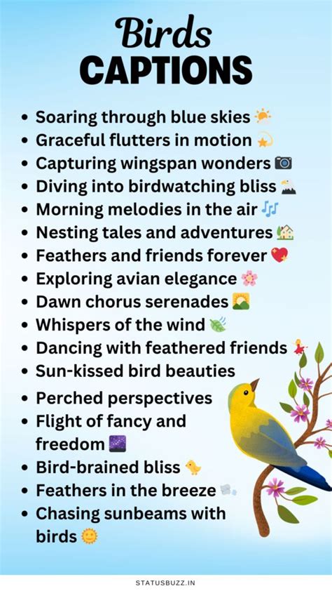 100 Best Birds Caption For Instagram StatusBuzz In 2024 Instagram