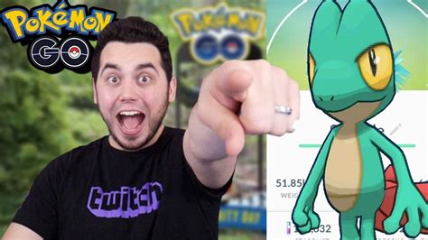 EPIC TREECKO COMMUNITY DAY SHINY HIGHLIGHTS POKEMON GO YouTube