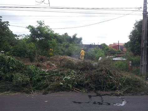 Cuadrillas Monitorean Baldíos En Asunción Nacionales Abc Color