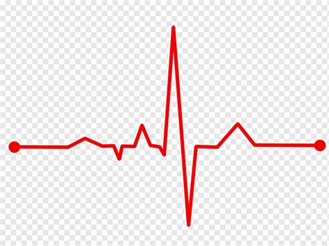 Heart Rate Variability Electrocardiography Pulse Treats Angle Text