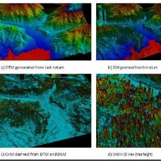 Lidar Derived Images A Dtm B Dsm C Chm D Chm Visualized In D