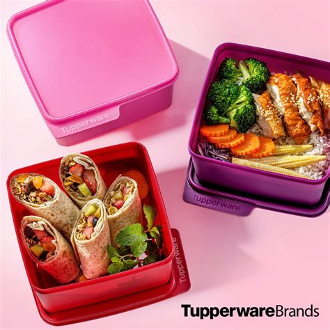 Tupperware Lunch Box Snack And Stack Basic Line 500ml 12l 5l 1 Pcs