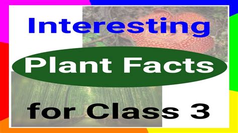 Plant Facts Plants Gk Plants Facts Plants Fun Facts Fun Facts