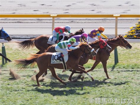 【東京4r3歳未勝利】3rに続きムーアが連勝！ロンギングファローが勝利、ディアデラノビアの仔、エルディアマンテは3着 競馬ニュースなら