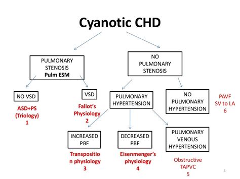 Surgical Approach Of Cyanotic Congenital Heart Disease