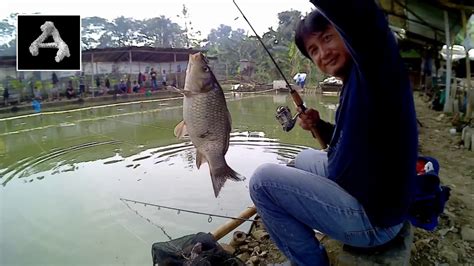 Kail Yang Bagus Untuk Ikan Mas