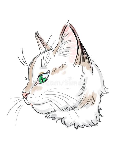 Comment Dessiner Un Chat De Profil AUTOMASITES