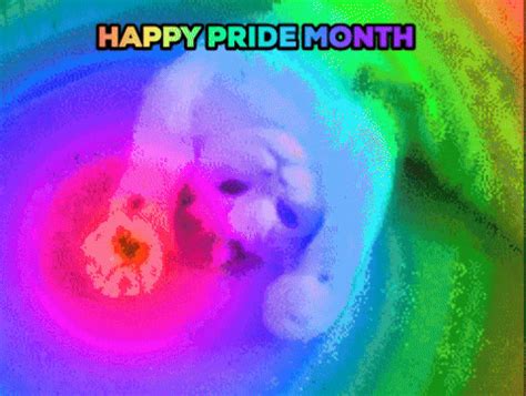 Love Cat Gay Rainbow Kitten Lgbt Pride Lesbian Lgbtq Queer Trans June Bi Lgbtqia