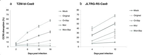 Testing The Effect Of Modifications By Lentiviral Infection TZM Bl