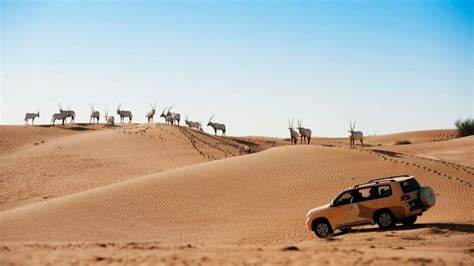 Al Maha Desert Resort - Hotels in Heaven