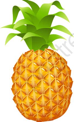 Vector De Pi A Dise O Grafico Pi A Frutas Png Y Vector Para Descargar