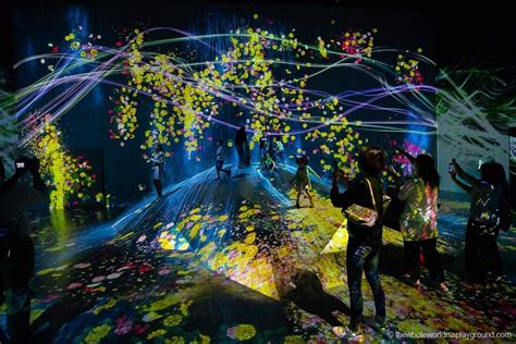 Teamlab Borderless Tokyo Ultimate Guide The Whole World Is A Playground