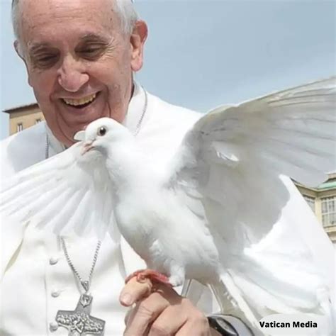 Mensagem Do Papa Para O Dia Mundial Da Paz