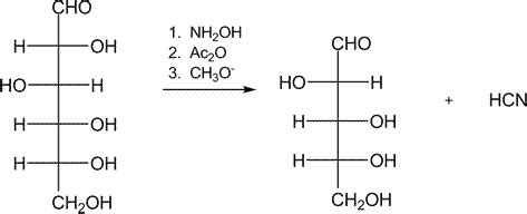 Solved The Wohl Degradation Is A Series Of Reactions That Chegg