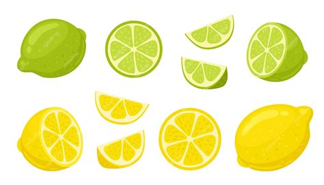 Premium Vector Lime And Lemon Cartoon Vector Illustration Slices