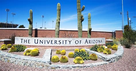 Top 10 University of Arizona Library Resources You Need to Know - OneClass Blog