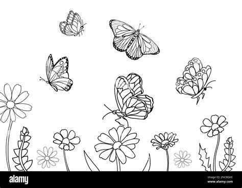 Mariposas y hermosas flores sobre fondo blanco ilustración Página