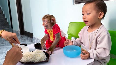 Monkey Kaka and Diem enjoy super delicious coconut sticky rice - YouTube