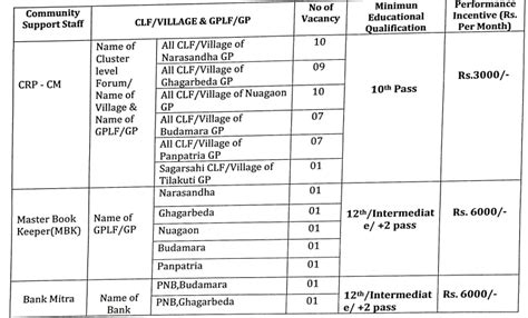 Mayurbhanj Shakti Sangha BLF Office Raruan Block Job Openings For