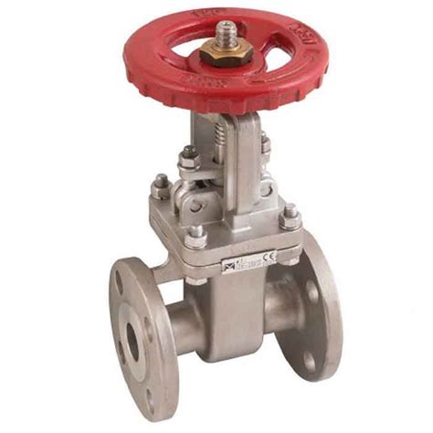 Stainless Steel Gate Valves Johnson Valves