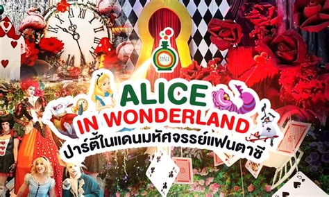 alice  wonderland  party setter