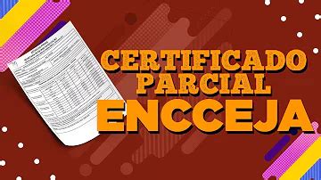 Declaracao Parcial De Proficiencia - Como solicitar a declaração parcial de proficiência Encceja?
