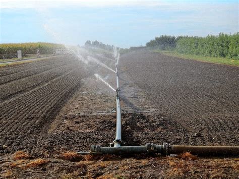 Sistemas de Riego Agrícolas Sistemas de Riego