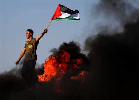 Palestina Lucha Por Su Libertad Cubaperiodistas