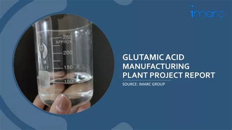 Ppt Glutamic Acid Manufacturing Plant Project Report Powerpoint Presentation Id 12828315