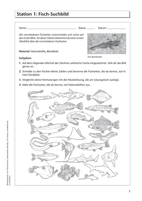 Sekundarstufe I Unterrichtsmaterial Biologie Tiere