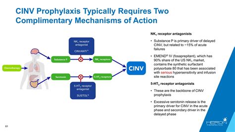 Slide 61