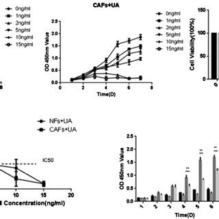 Effects Of Different Concentrations Of UA On Proliferation And Cell