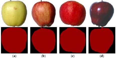 Figure 1 From DeepMDSCBA An Improved Semantic Segmentation Model Based