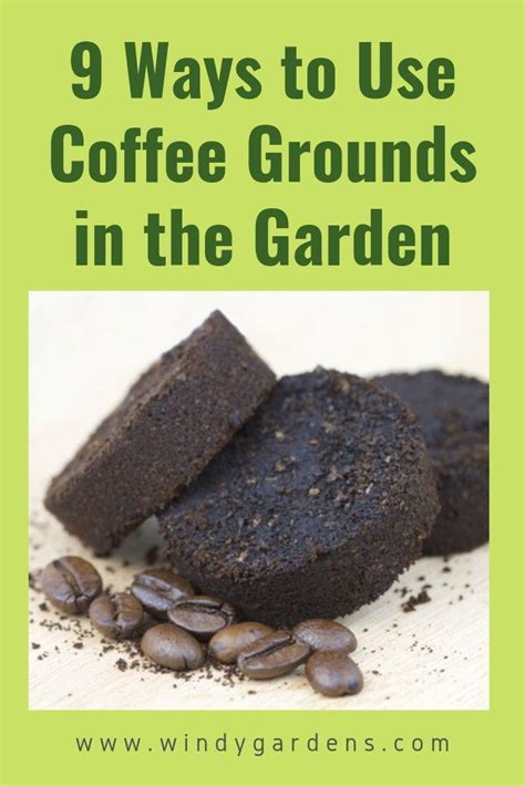 How To Use Coffee Grounds In The Garden Artofit