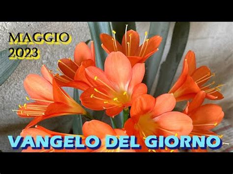 Vangelo Del Giorno Mercoledi Maggio Youtube