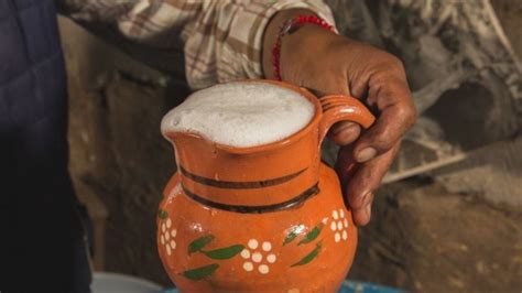 Festival del Pulque en Atotonilco de Tula Fechas actividades y cómo