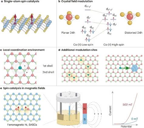 基于自旋效应的单原子自旋催化剂的新进展│nsr观点腾讯新闻
