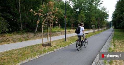 Promenada Krzycka we Wrocławiu Nasadzą nowe drzewa przy drodze rowerowej