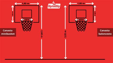 Descubrir 87 Imagen Dimensiones De Canasta De Basquetbol Abzlocal Mx